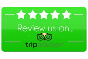 Review Request 5 reviewus tripadvisor
